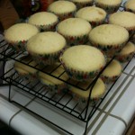 Baked cupcakes